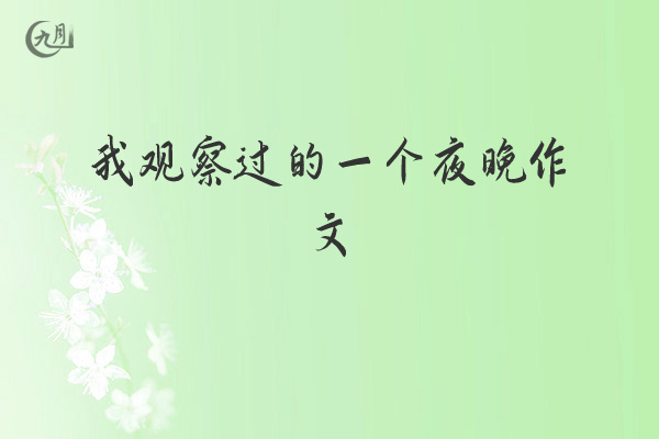 我观察过的一个夜晚作文