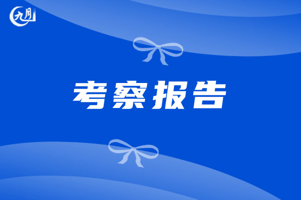 干部考察报告范文