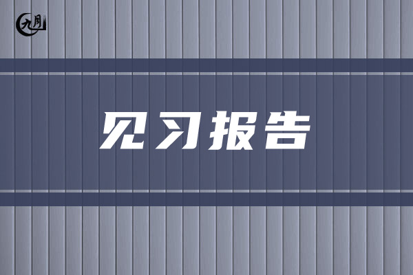 见习报告范文