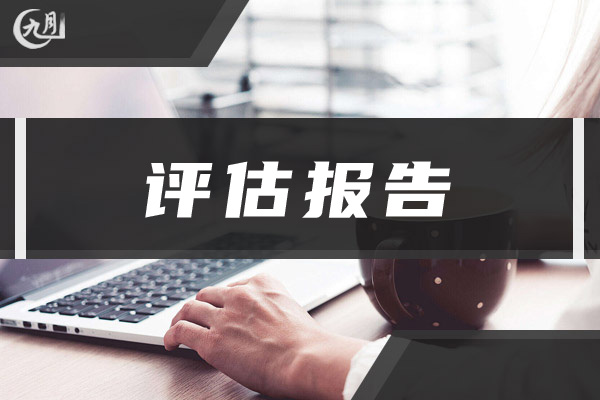 评估报告范文