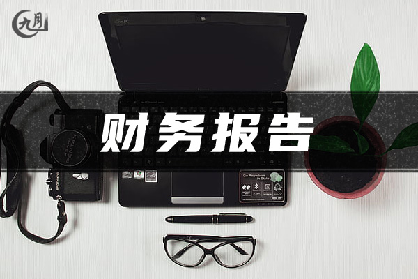 年度财务报告格式