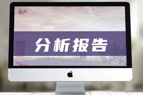 分析报告模板