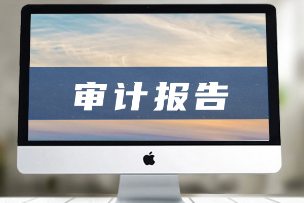 审计报告模板