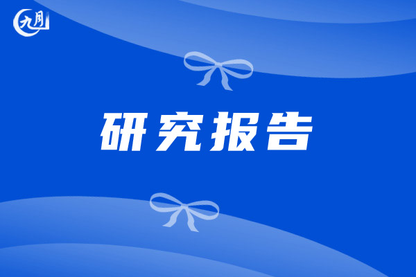 研究报告模板
