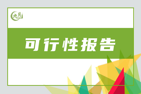 可行性报告