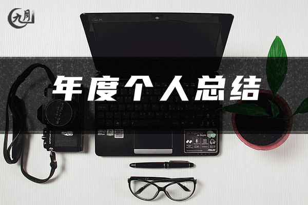 年度个人总结
